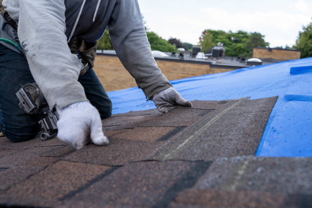 Quick and Trustworthy Emergency Roof Repair Services in Lakeview, GA