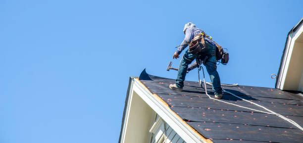 Best Storm Damage Roof Repair  in Lakeview, GA